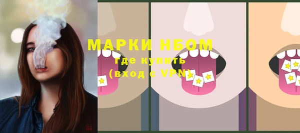 ешки Осинники