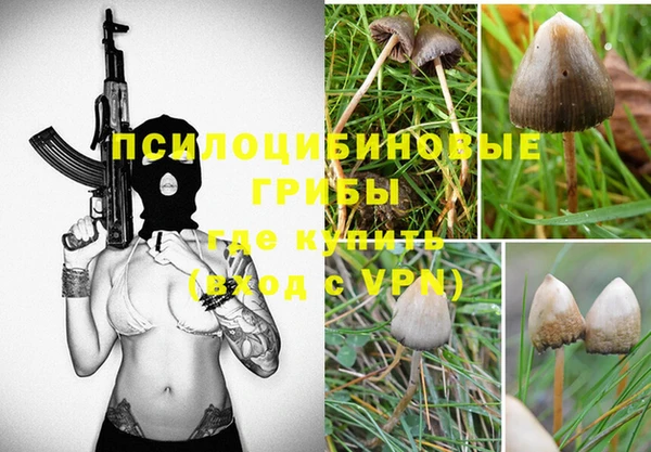 ешки Осинники